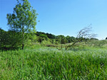 Tuckmill Meadow Nature Reserve