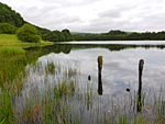 Talley Lakes Nature Reserve