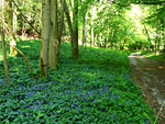 Warburg Nature Reserve