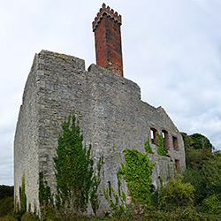 Ivy-covered walls