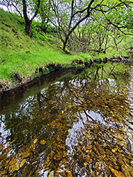 Reflections on a pool