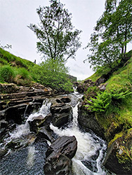 Rocks around the stream