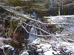 Waterfall and fallen tree