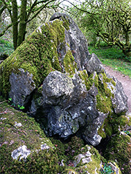 Mossy rock