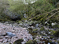 Mossy rocks