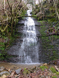 Tall cascade