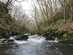 Cascade and pool