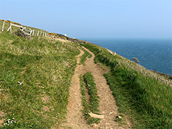 Path from the lighthouse