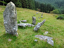 Lichen-covered stones