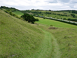 Grassy track