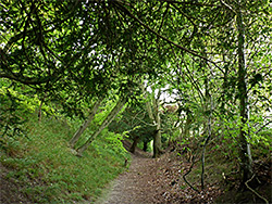 Sunken lane