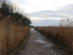 Concrete path