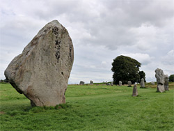 Head-shaped stone