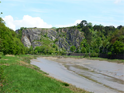 River at low tide