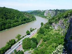 Clifton Down viewpoint