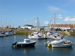 Axmouth Harbour