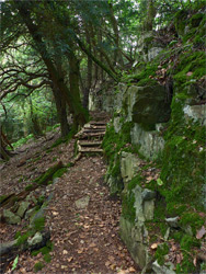 Geology Trail
