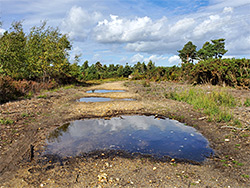 Puddles on a track