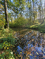 Basingstoke Canal