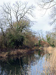 Basingstoke Canal