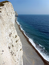 Cliff and beach