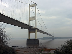 Suspension bridge