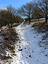 Snowy path