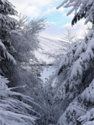 West side of Beacons Reservoir