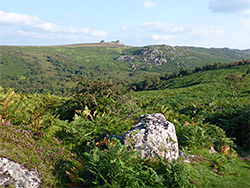 Valley of Becka Brook