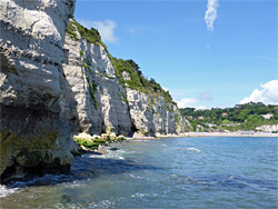 Cliffs near Beer