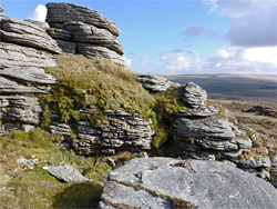 Grassy rocks