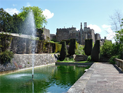 Lily pond and fountain