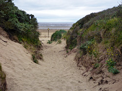 Path to the beach