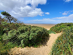 Path to the beach