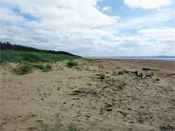 Beach and dunes