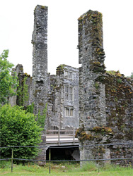 Pillars and windows