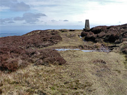 Black Hill summit