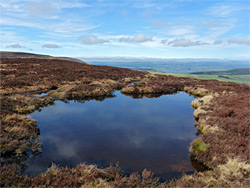 Shallow pool