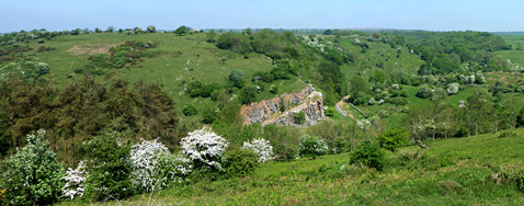 Grassy hillside