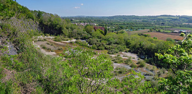 Trees around the quarry