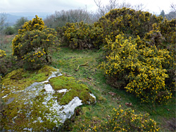 Granite and gorse