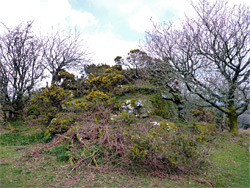 Blackadon Tor