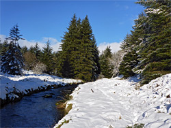 Snowy streambank