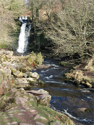 River below Blaen y Glyn
