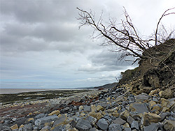 Landslip east of Blue Anchor