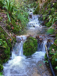 Small waterfalls