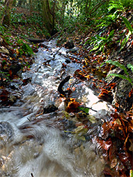 Swirling water