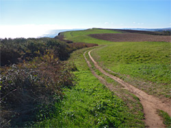 Path near Brandy Head