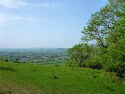 Downland