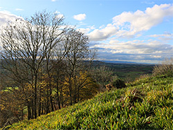 Steep hillside